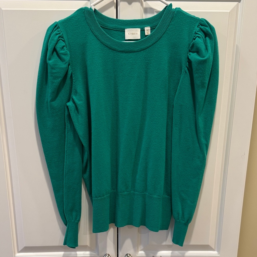 Cyrus Women's Green Crew Neck Sweater